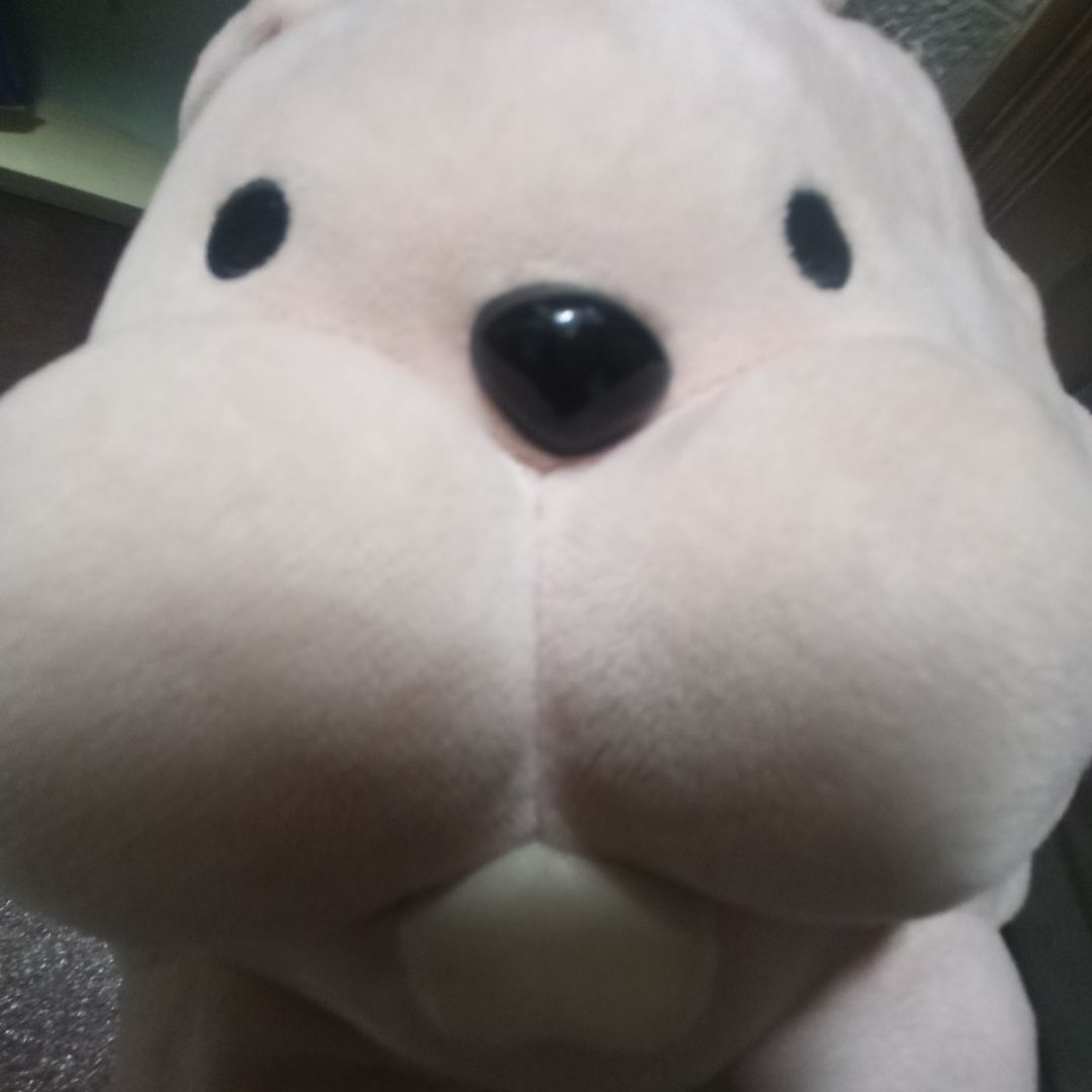 丸子